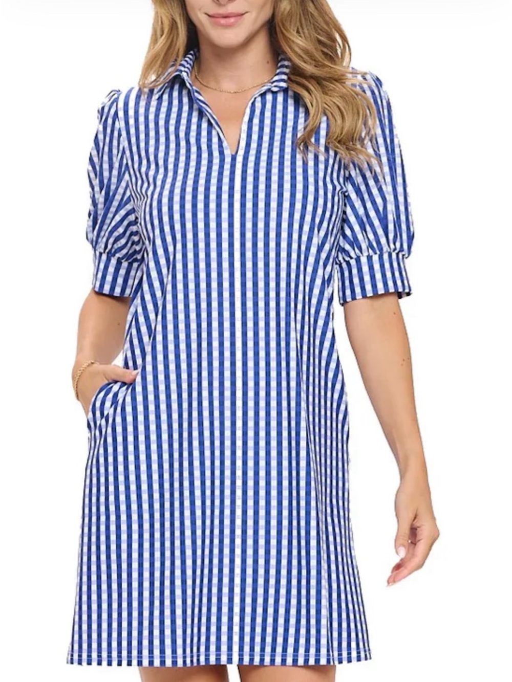 Aryeh Blue & White Gingham dress NWT med